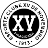 XV de Piracicaba (Trẻ) logo