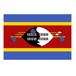 Eswatini logo