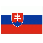 U17 Nữ Slovakia logo