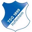 TSG Hoffenheim (Trẻ) logo