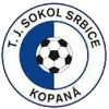 TJ Sokol Srbice