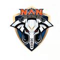 Nan FC logo