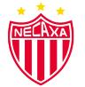 Necaxa U20 logo
