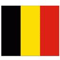 U17 Nữ Bỉ logo