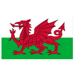 Xứ Wales U17 logo