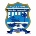Bahir Dar Kenema FC logo