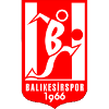 Balikesirspor U19 logo