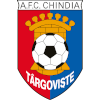 Chindia Targoviste logo