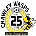 Nữ Crawley Wasps logo