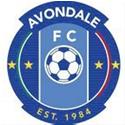 U20 Avondale FC logo