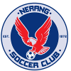 Nerang logo