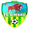 Zimbru Chisinau logo