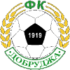 FC Dobrudzha logo