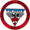 FC Wels logo