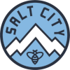 Salt City logo