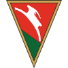 Lublinianka Lublin logo