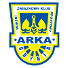 Arka Gdynia Youth logo